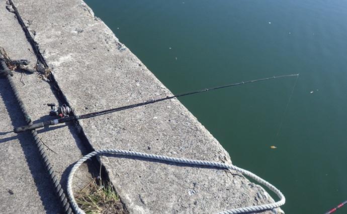 千葉県の落ちハゼ釣りで良型交じり本命51匹キャッチ！ 入れ食いタイムも満喫　