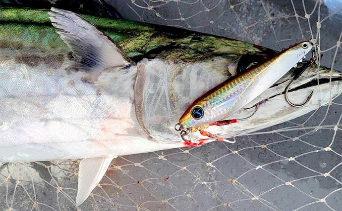 「低活性をチャンスに！」亜鉛合金製メタルジグ『get two（ゲッツー）』の耐空フォールに大注目