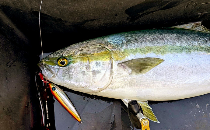 「低活性をチャンスに！」亜鉛合金製メタルジグ『get two（ゲッツー）』の耐空フォールに大注目