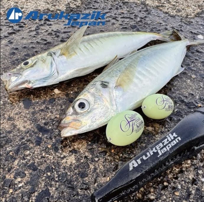 ＜大型ヒラメ＆丸々ブリ＆極太サワラ＞三重・鳥羽沖でイワシ泳がせ釣り好調！【全国の釣果速報6選】