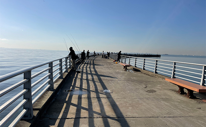 「数年ぶりにヒイカ回遊！」検見川浜突堤のエギングで本命6尾キャッチ【千葉】