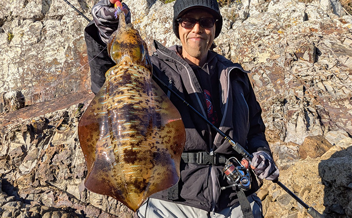 地磯のデイエギングで良型アオリイカをキャッチ【和歌山・南紀】深場狙いが奏功