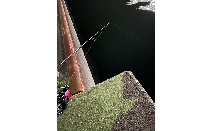 「集中力が切れると大型魚が釣れる？」 狙うとなぜか釣れない釣りアルアル