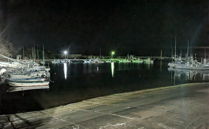 南紀のライトソルトゲームで新規開拓【和歌山】ガシラ主体にオオモンハタをキャッチ