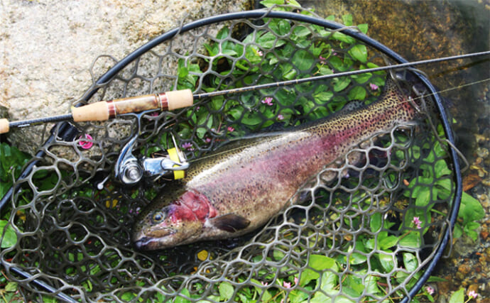 『26ベレッツァ・プロトタイプ』を実釣検証　通い込みアングラーが語るエリアトラウトロッドの使い分け