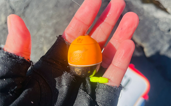 磯フカセ釣りで50cm級良型真鯛が連発！【大分】本命クロにイサキにオオモンハタと多彩釣果