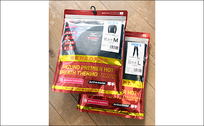 冬の堤防サビキ釣りで入れ食い堪能【大阪南港フェリーターミナル横】アジ不発もサッパ連発