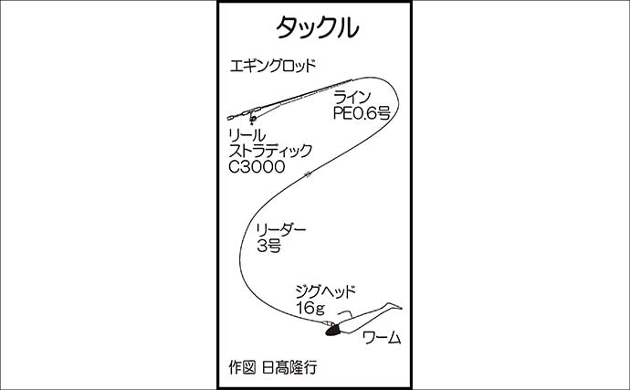 エギングでアオリ1.3kgキロアップ浮上！【熊本・天草】ルアーゲームで50cm級シーバス＆サゴシ4尾も手中