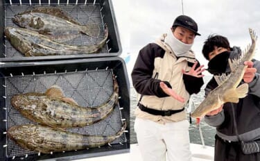 【沖のルアー釣果速報】朝マゴチ便で本命＆寒ヒラメ連発！低水温でも好反応…