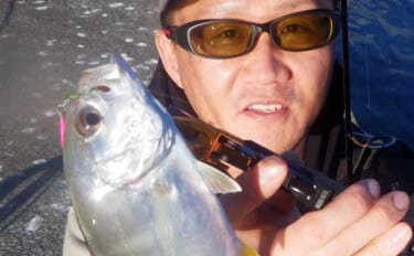 尾鷲エリアのライトゲームで25cm超え良型メッキを手中【三重】アジング…