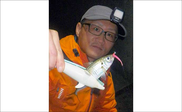 尾鷲エリアのライトゲームで25cm超え良型メッキを手中【三重】アジングで数釣りも満喫