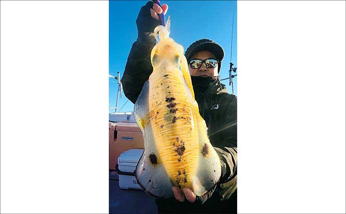 【沖釣り釣果速報】全員1kgアップ達成！ティップランで良型アオリイカ船中11匹（三重）