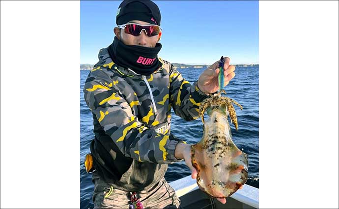【沖釣り釣果速報】全員1kgアップ達成！ティップランで良型アオリイカ船中11匹（三重）