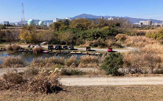 今週のヘラブナ推薦釣り場2026【神奈川・海老名運動公園下】