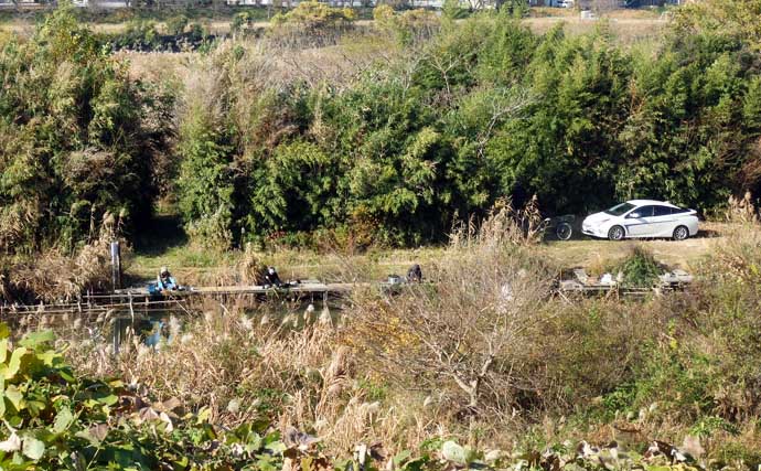 今週のヘラブナ推薦釣り場2026【神奈川・海老名運動公園下】