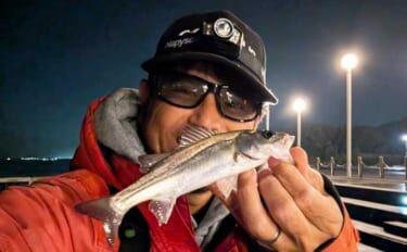 電気ウキ釣りでセイゴ7匹を手中【愛知県・ボードウォーク】ウキ下調整とハ…