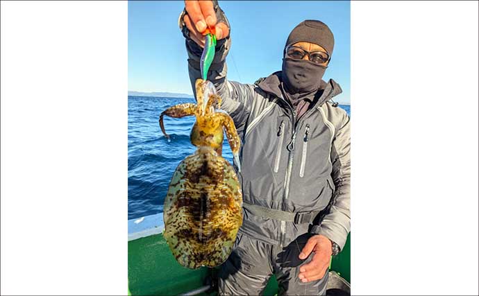 【沖のルアー釣果速報】志摩沖のティップランエギングで1.2kg良型アオリイカ浮上（三重）