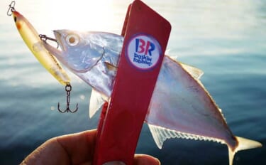 温排水エリアのライトゲームでイケカツオ連発【三重県・四日市港】トップと…