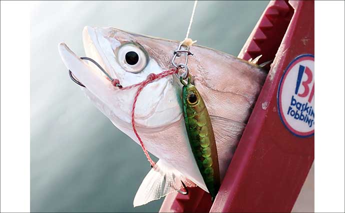 温排水エリアのライトゲームでイケカツオ連発【三重県・四日市港】トップとメタルの使い分けが奏功