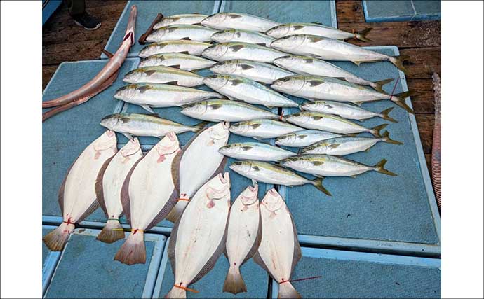 【沖釣り釣果速報】玄界灘・響灘の落とし込みが熱い！良型ヒラメ＆ヒラマサ大型が続々（福岡）