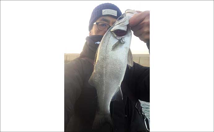 「不発から一転！」志賀島のライトゲームでヒラセイゴ40cm超と良型アジ連発【福岡】