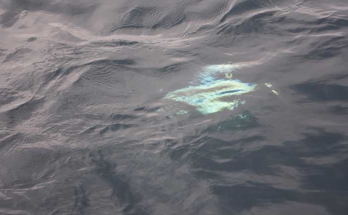 【これから始めるトンジギ入門】タックル選びから誘い・取り込みまで基礎を徹底ガイド