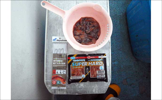 船釣り教室参加で幻の高級魚『シロアマダイ』連発！【静岡】40cm級含む8匹手中