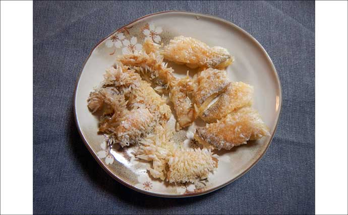 船釣り教室参加で幻の高級魚『シロアマダイ』連発！【静岡】40cm級含む8匹手中