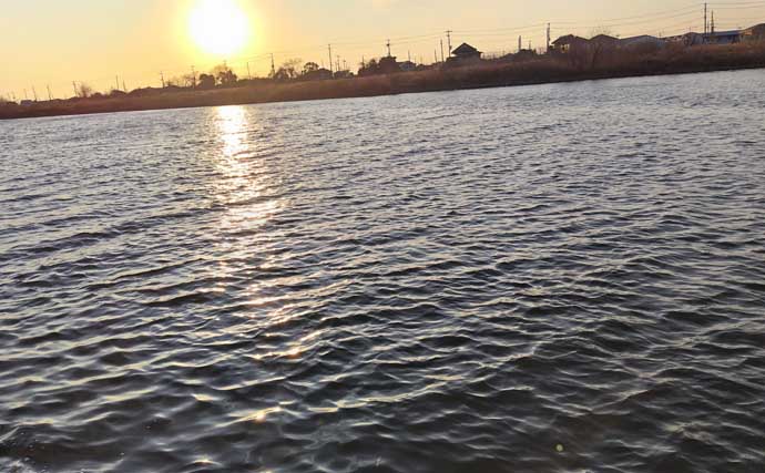 リバーシーバスは「流れ」がキモ！ 表層でもボトムでもシーバスを連続キャッチ【養老川】