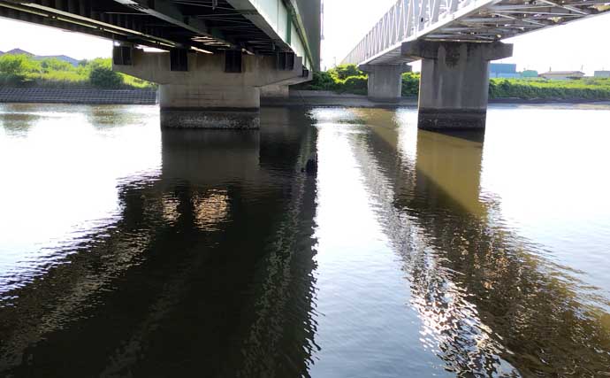 リバーシーバスは「流れ」がキモ！ 表層でもボトムでもシーバスを連続キャッチ【養老川】