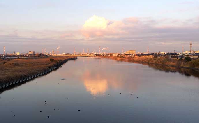 強風下のルアーシーバス釣行で50cm級本命3匹キャッチ成功！【千葉・養老川】