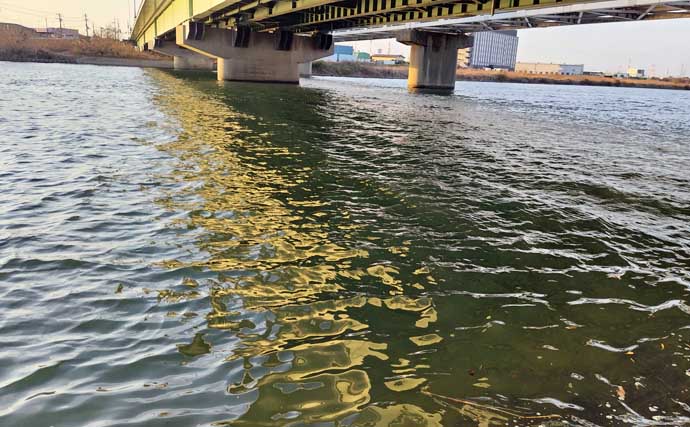 強風下のルアーシーバス釣行で50cm級本命3匹キャッチ成功！【千葉・養老川】