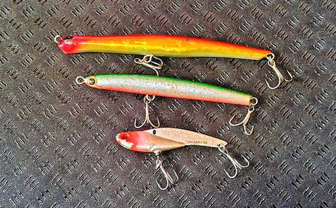 強風下のルアーシーバス釣行で50cm級本命3匹キャッチ成功！【千葉・養老川】