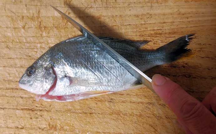 釣った魚で作る「温か」レシピ：キビレと冬野菜の鍋　優しい味付けがマッチ