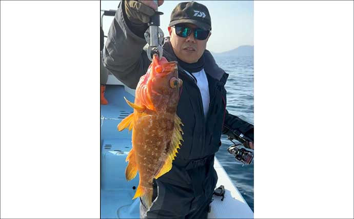 五島灘のSLJ・タイラバでアコウ2kg級含め船中40尾手中【Fisher526】ヒラマサ気配も濃厚