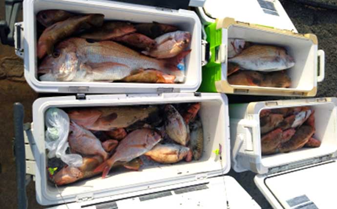 関西エリアの【船釣り特選釣果】タイサビキでマダイ好反応！青物・根魚も各地で上向き