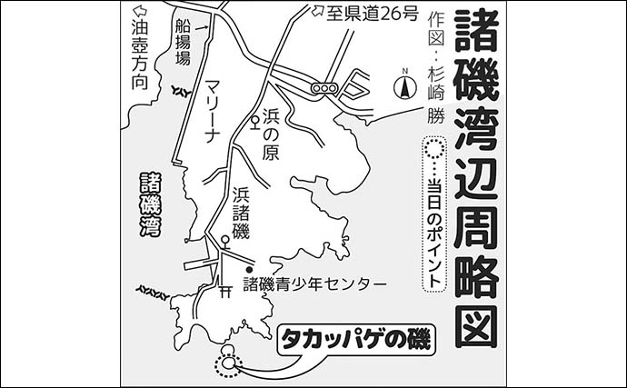 諸磯フカセ釣りで良型メジナ好反応！　当日最大37cmを手中【神奈川・三浦半島】
