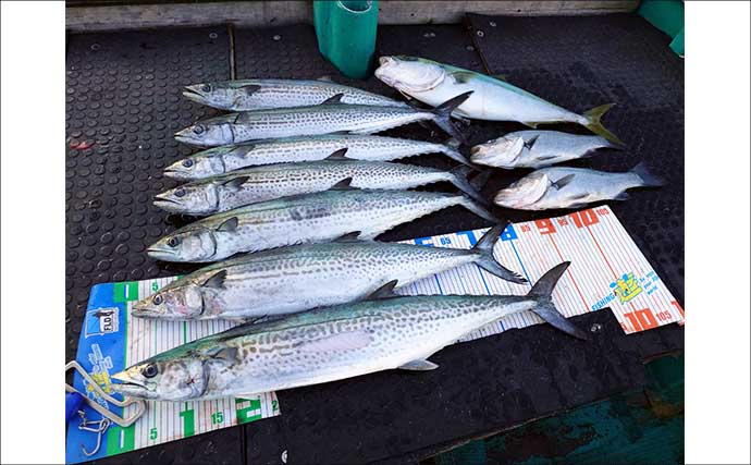 【沖のルアー釣果速報】22.9kgタネトン手中！トンジギで大型連発の好況続く（三重）