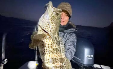 【沖のルアー釣果速報】チヌジギで珍ゲスト50cm超チャイロマルハタ登場…
