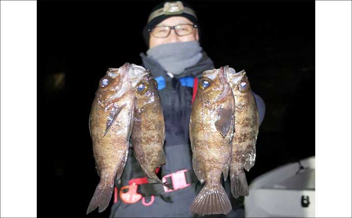 【沖のルアー釣果速報】チヌジギで珍ゲスト50cm超チャイロマルハタ登場！本命チヌも5匹手中（愛知）