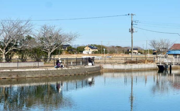 今週のヘラブナ推薦釣り場2026【千葉・川口沼】