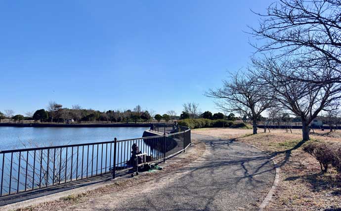 今週のヘラブナ推薦釣り場2026【千葉・川口沼】