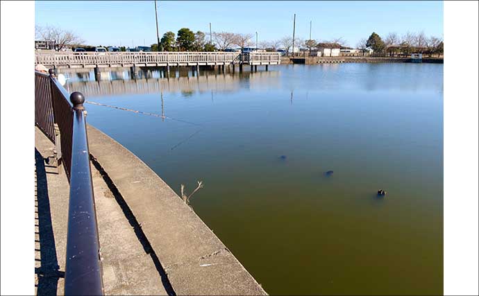 今週のヘラブナ推薦釣り場2026【千葉・川口沼】