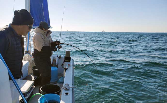 「まずはアジ確保から！」東京湾アジ泳がせ釣りで4.8kgワラサを手中【けやき丸】