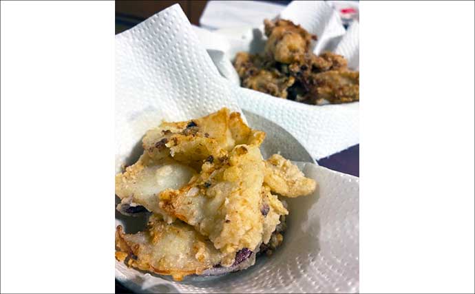 爆風の堤防エギングでアオリイカ手中！【熊本・天草崎津】ソフトルアーで40cm級カマスも登場