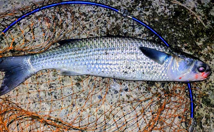 「真冬の低水温期こそボトムを狙うべし！」 リバーシーバスゲームで50cm級をキャッチ