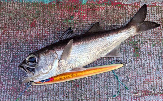 中深海ジギングで良型ムツを連打！【和歌山】低水温のうちはタフな状況が継続か