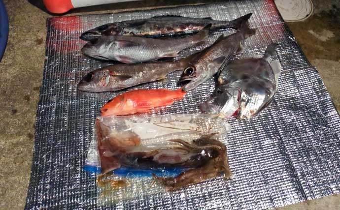 中深海ジギングで良型ムツを連打！【和歌山】低水温のうちはタフな状況が継続か