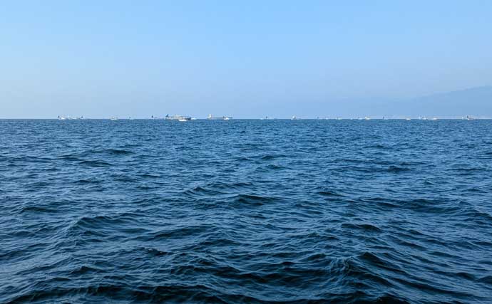 高仕掛けでマダイに青物が連発！【和歌山・加太】バラシも連発だけど存分に満喫