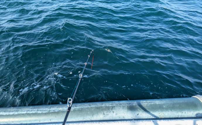 高仕掛けでマダイに青物が連発！【和歌山・加太】バラシも連発だけど存分に満喫